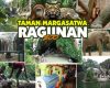 Harga Tiket Masuk Ragunan