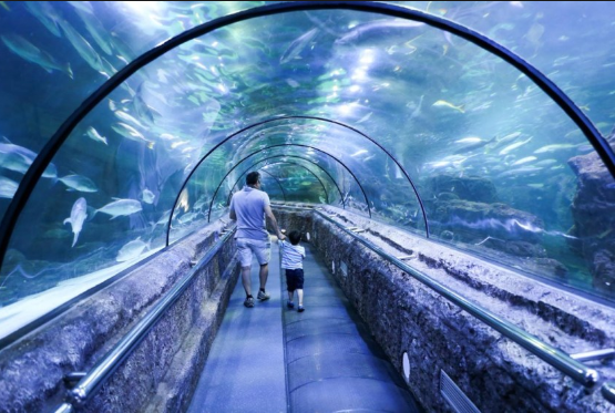 Seaworld Ancol