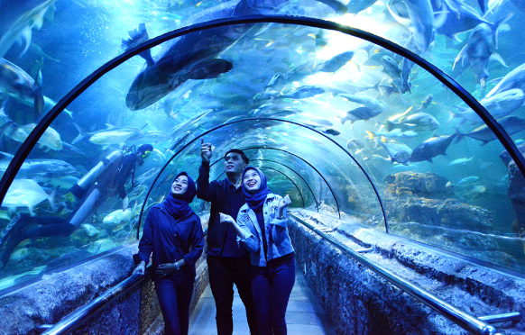 Show di Seaworld Ancol